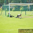 zdjęcie nr 44