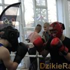 Fotka nr 3 z 15