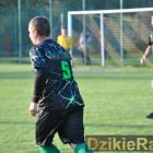 zdjęcie nr 8