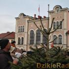 zdjęcie nr 91