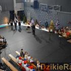 zdjęcie nr 254