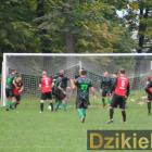 zdjęcie nr 54