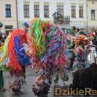 zdjęcie nr 173