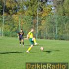 zdjęcie nr 7