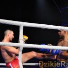zdjęcie nr 248