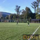 zdjęcie nr 198
