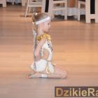 zdjęcie nr 8