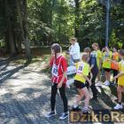 zdjęcie nr 29