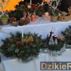 Fot. Dzikieradio