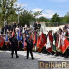zdjęcie nr 15