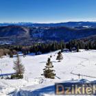 zdjęcie nr 14