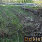 zdjęcie nr 11