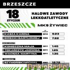 Fotka nr 4 z 5