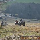 zdjęcie nr 83