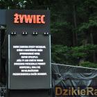 zdjęcie nr 74