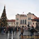 zdjęcie nr 172