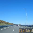 zdjęcie nr 137