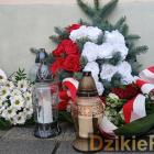 zdjęcie nr 63