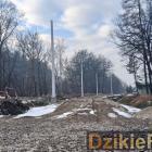 Fot: DzikieRadio®