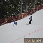 zdjęcie nr 42