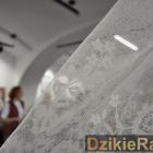 Fotka nr 3 z 21