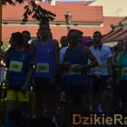 zdjęcie nr 108
