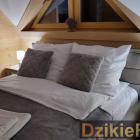 Fotka nr 1 z 12