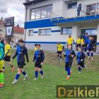 zdjęcie nr 108