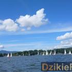 zdjęcie nr 176