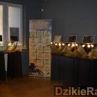 zdjęcie nr 13