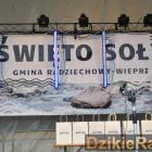 zdjęcie nr 31