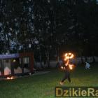 zdjęcie nr 14