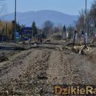 zdjęcie nr 12