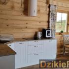 Fotka nr 5 z 12