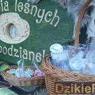 zdjęcie nr 52