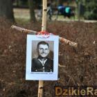 zdjęcie nr 104