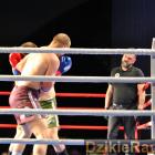 zdjęcie nr 212