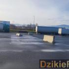 zdjęcie nr 7