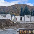 Fot: DzikieRadio®
