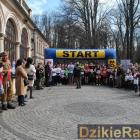 zdjęcie nr 64