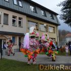 zdjęcie nr 41