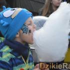zdjęcie nr 41