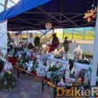 zdjęcie nr 113