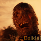 Fotka nr 1 z 4