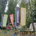 zdjęcie nr 208