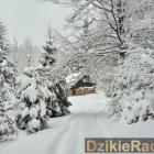 zdjęcie nr 10