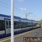 Fotka nr 1 z 12