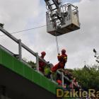 zdjęcie nr 43