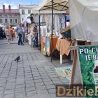 zdjęcie nr 26