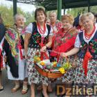zdjęcie nr 34